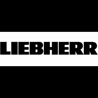 Bearings LIEBHERR