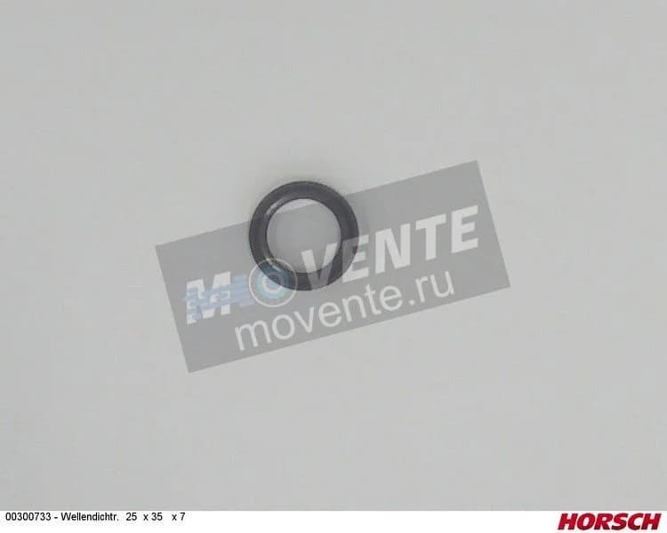 Сальник 00300733 HORSCH