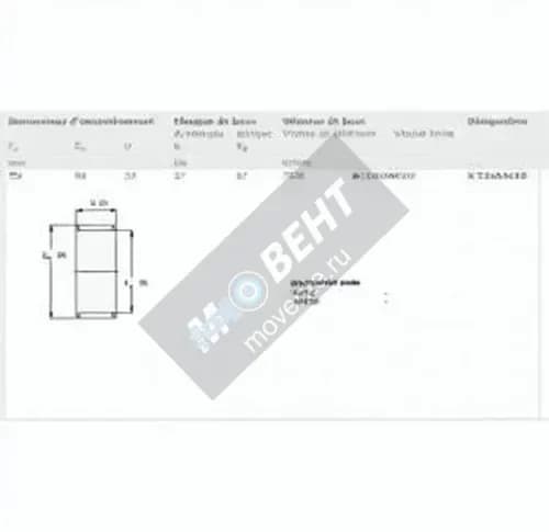 SKF K55-60-20-SKF - Image 1
