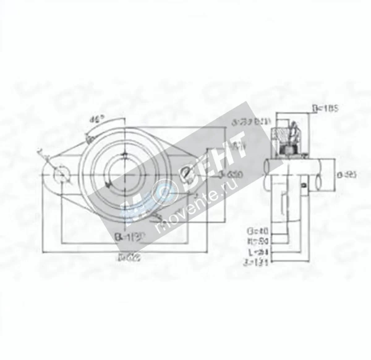 GEN UCFL319 - Image 1