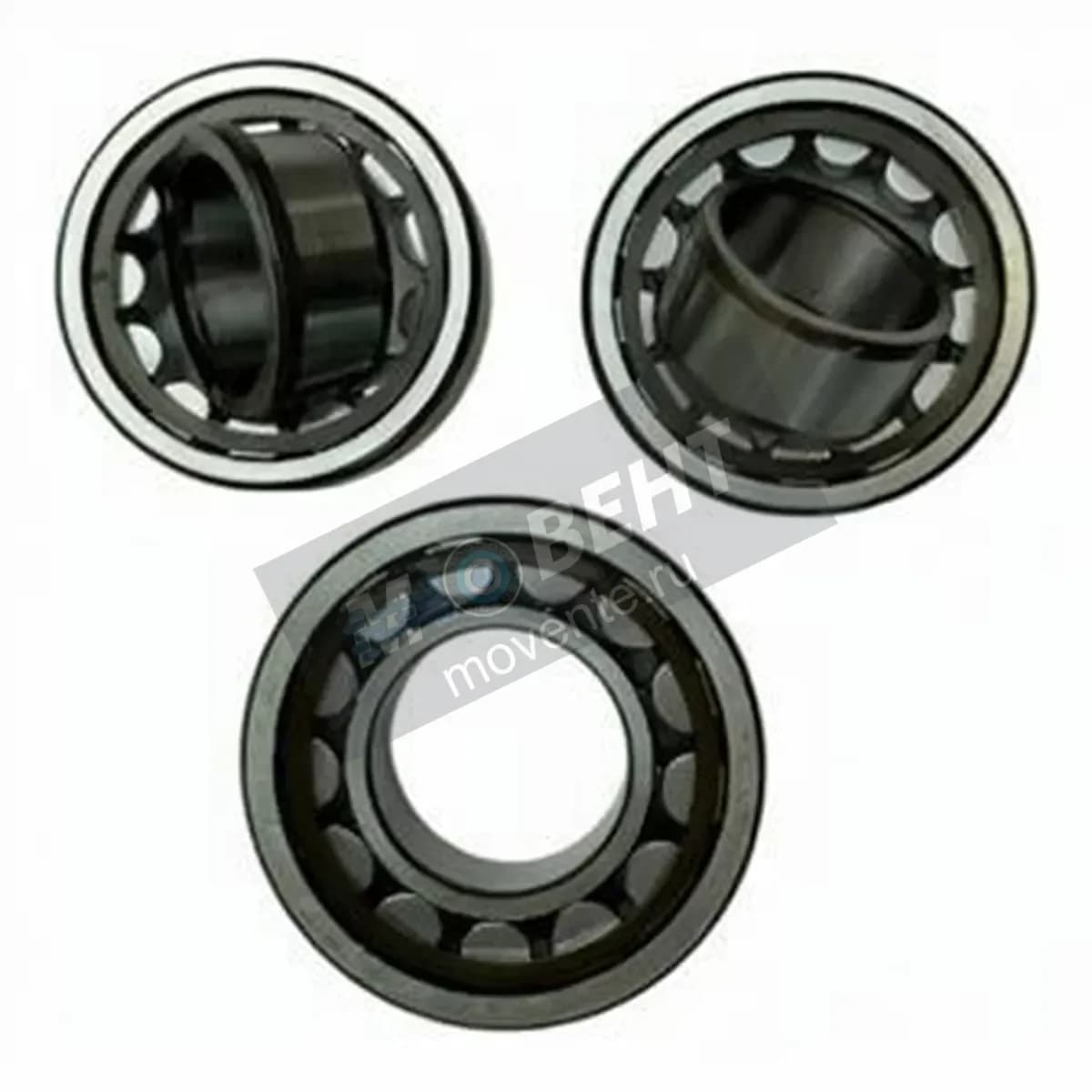 GEN NUP211 - Image 1
