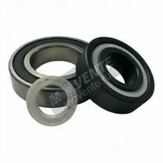 GEN 6009-2RS-CERAMIC - Image 1