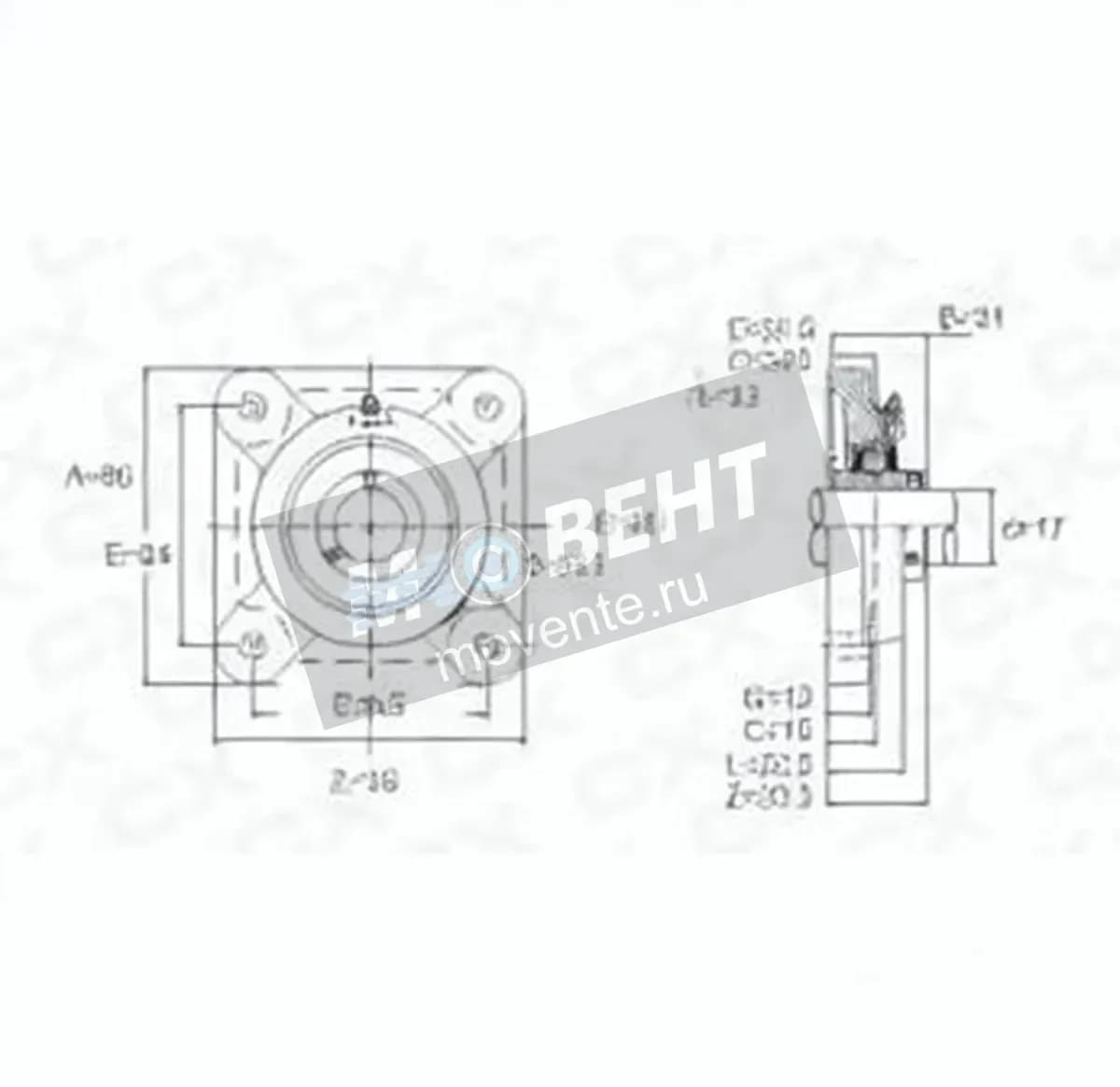 GEN UCF203 - Image 1