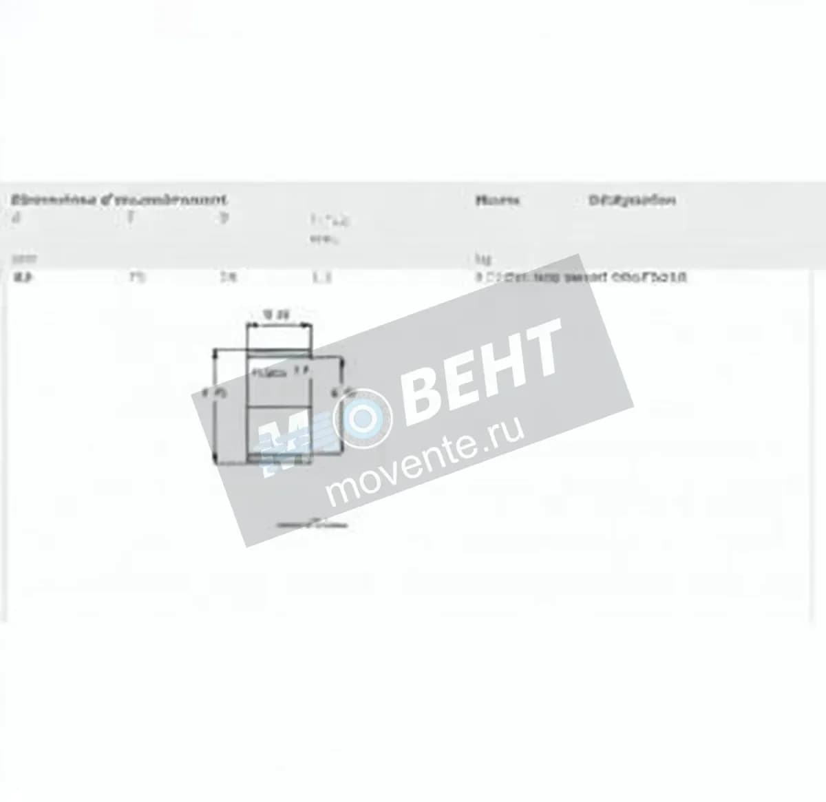 SKF IR65-75-28-SKF - Image 1