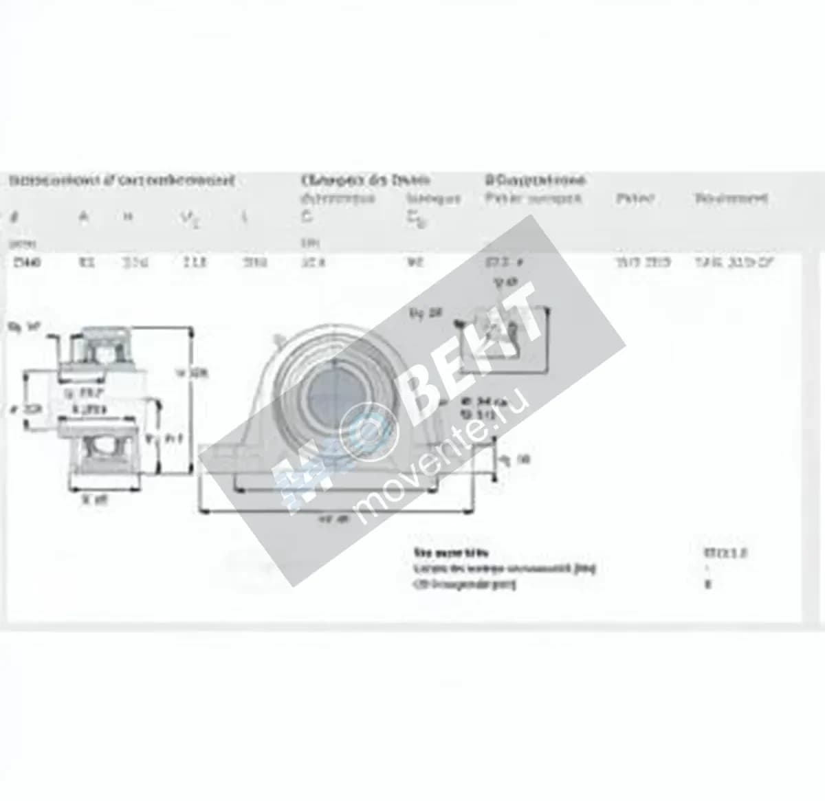 SKF SYJ100-TF-SKF - Image 1
