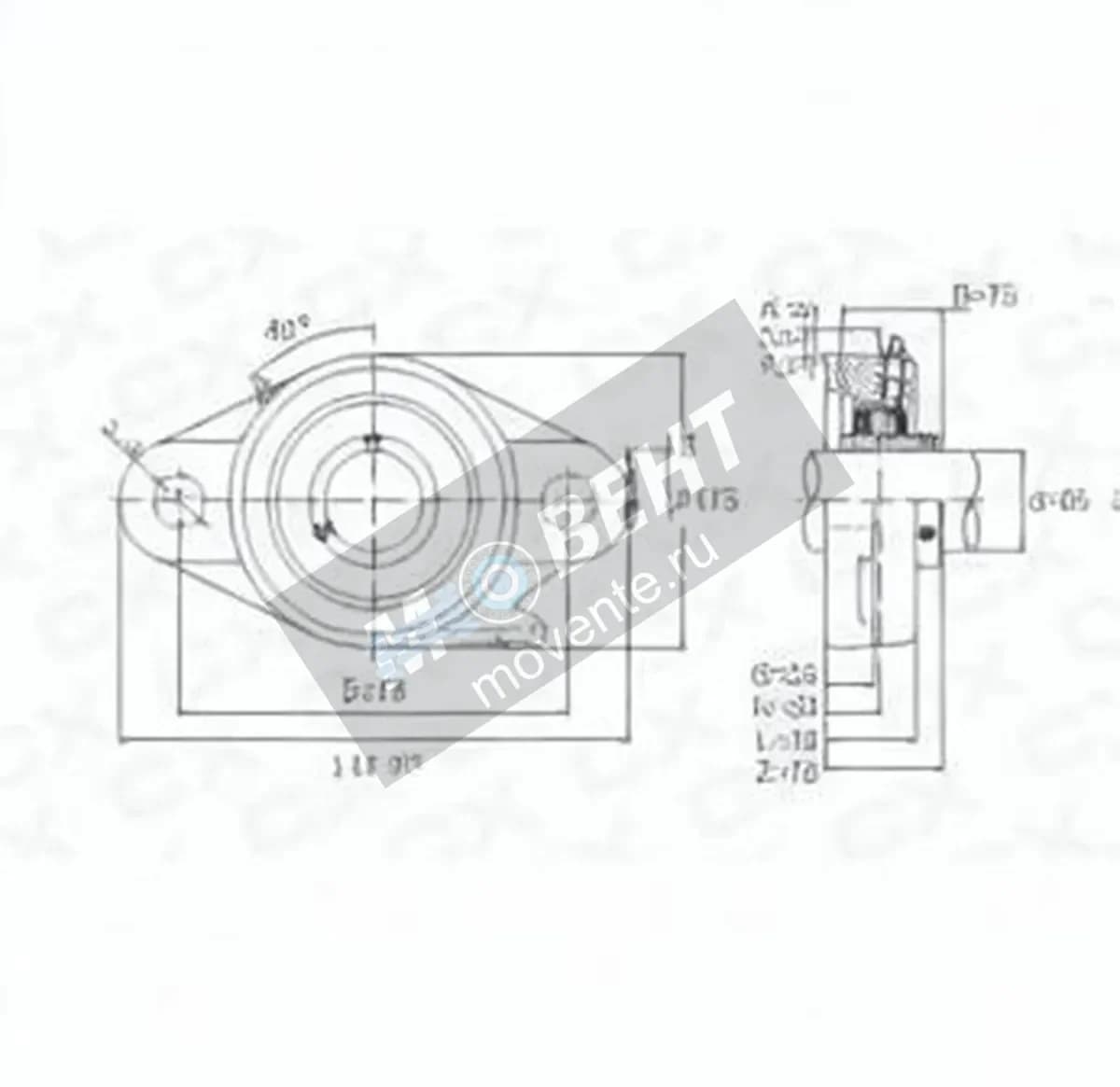 GEN UCFL313 - Image 1