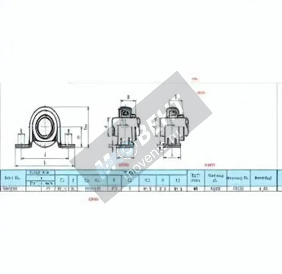 GEN SAPP202 - Image 1