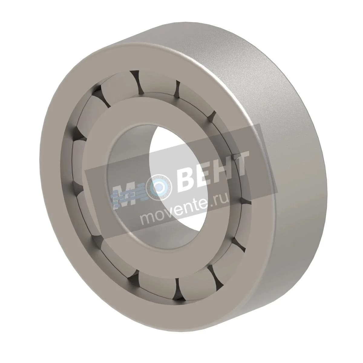 JD10012: Цилиндрический роликоподшипник