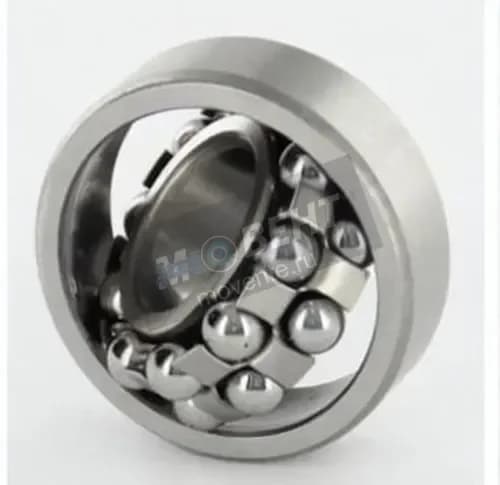 GEN 1202 - Image 1