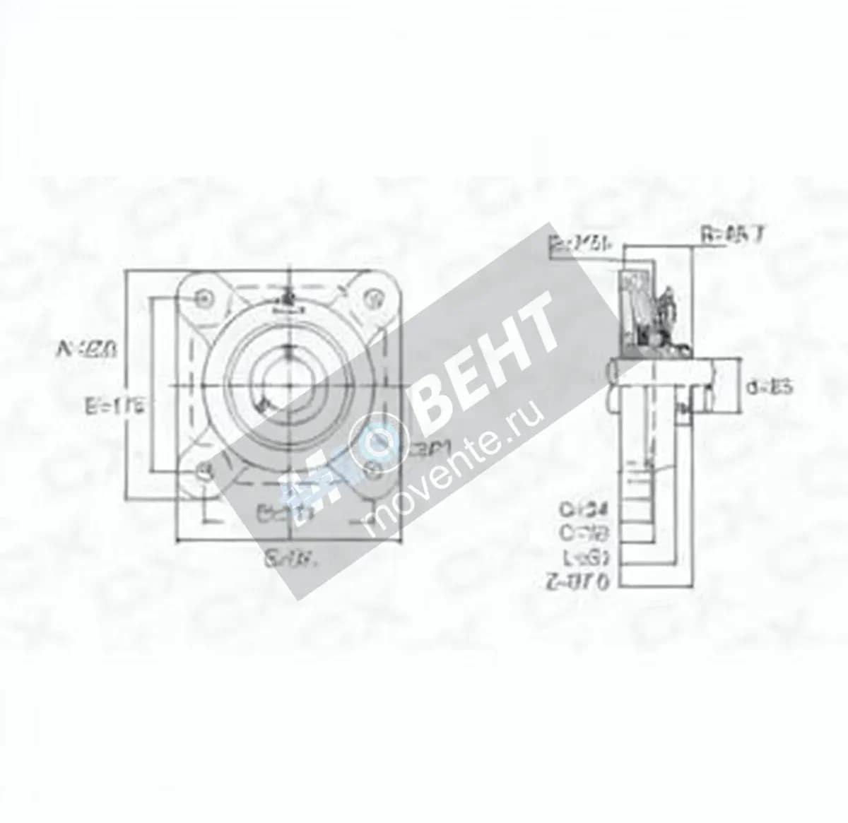 GEN UCF217 - Image 1