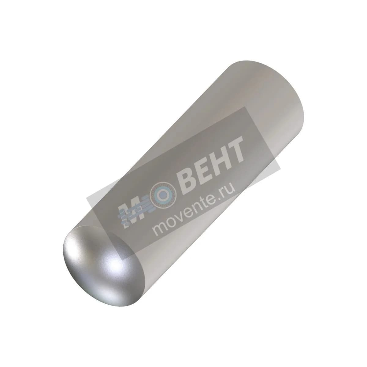 R42883: Игольчатый ролик