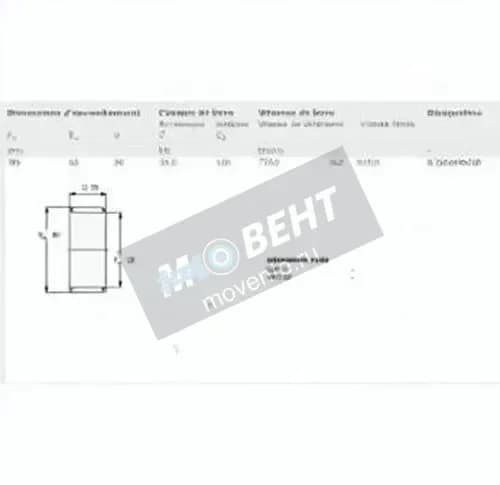 SKF K55-60-30-SKF - Image 1