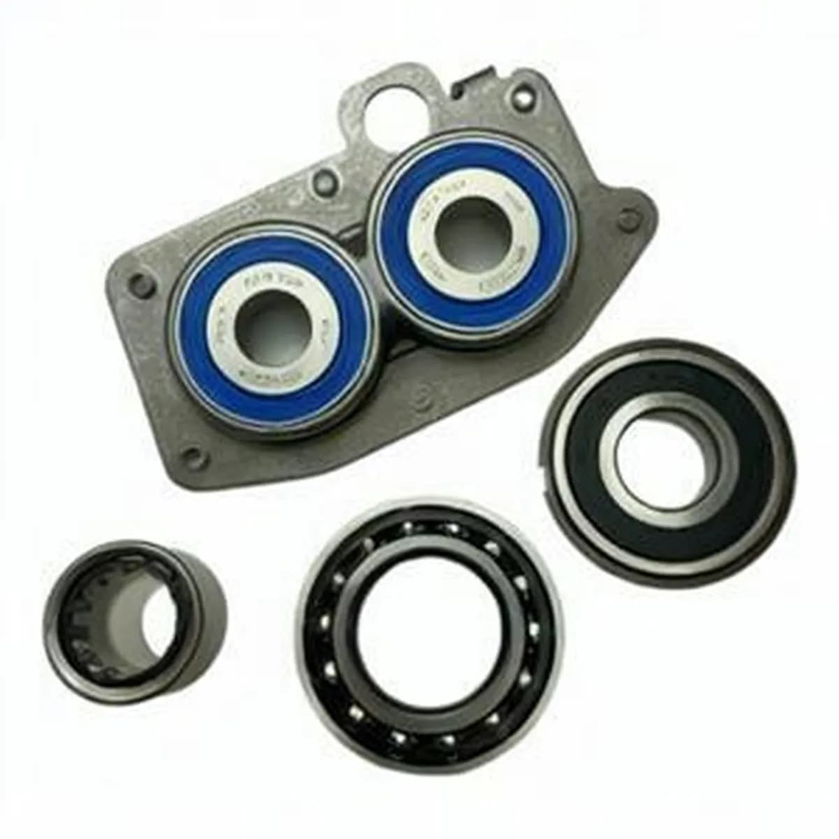 GEN NUTR304 - Image 1