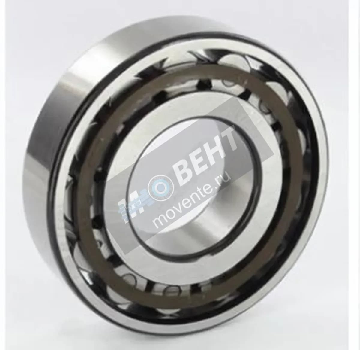 SKF N309-ECP-SKF - Image 1