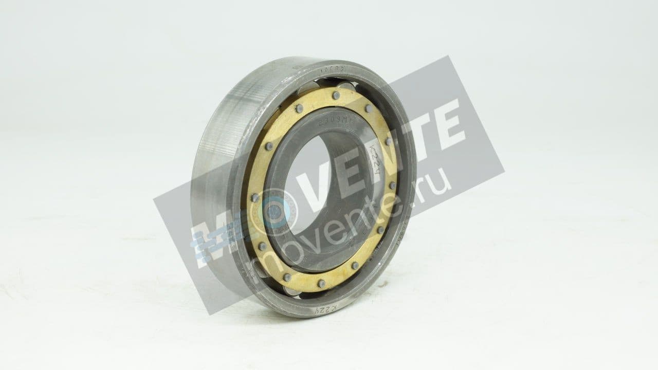 Подшипник 10ГПЗ N309 EM - Image 1