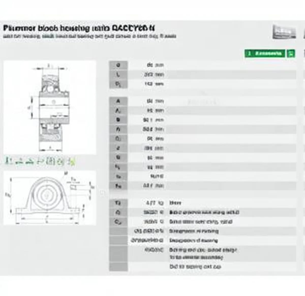 INA RASEY60N-INA - Image 1