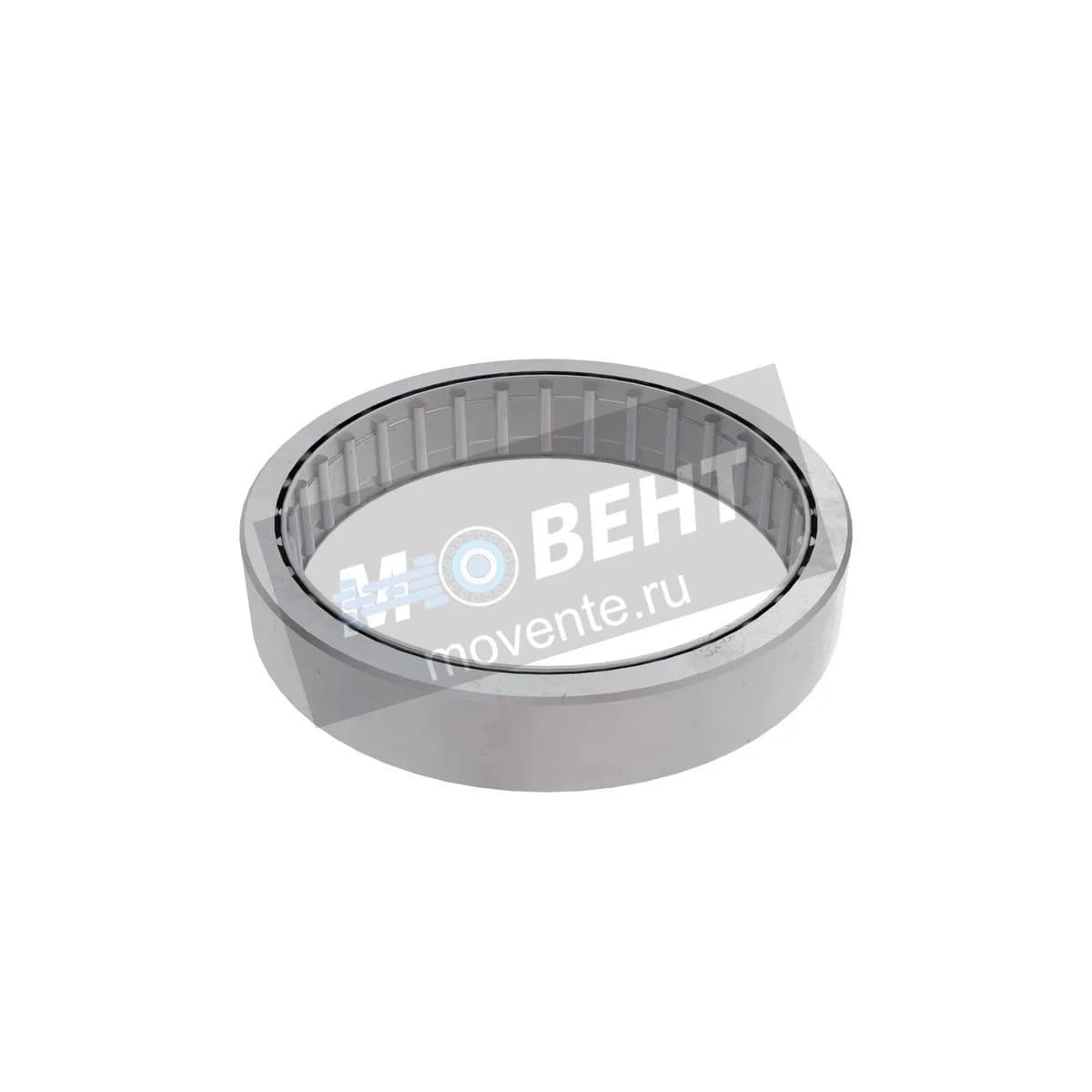 DE19539: Игольчатый роликоподшипник