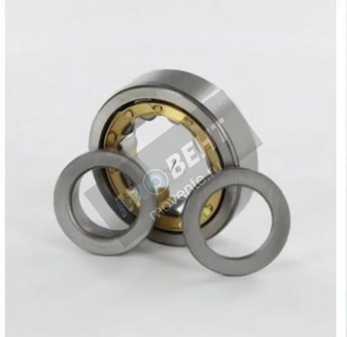 GEN NUP305-ECM - Image 1