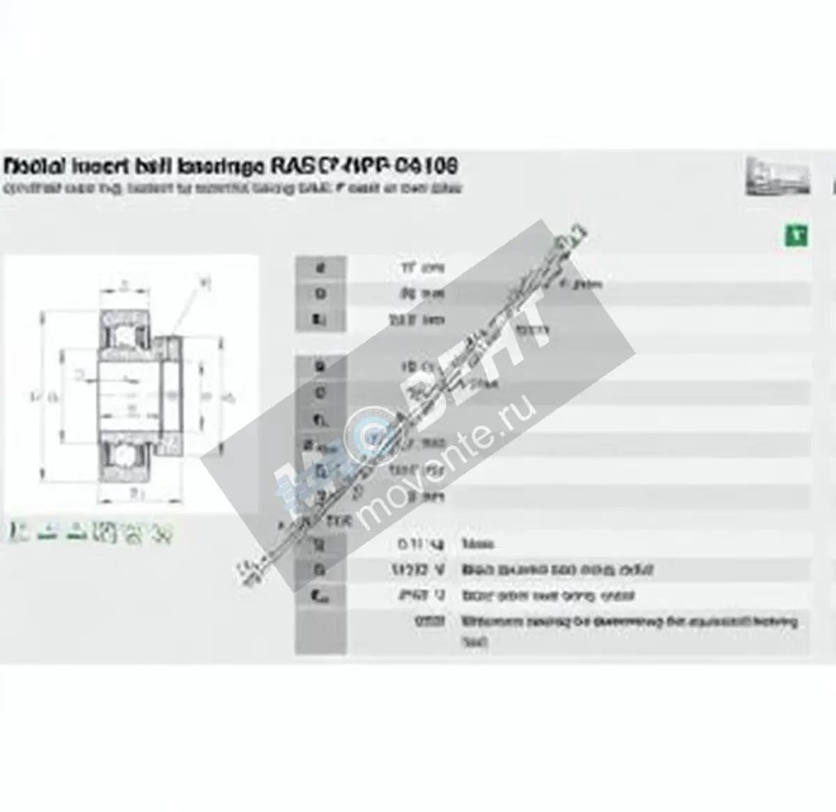 INA RAE17-NPP-FA106-INA - Image 1
