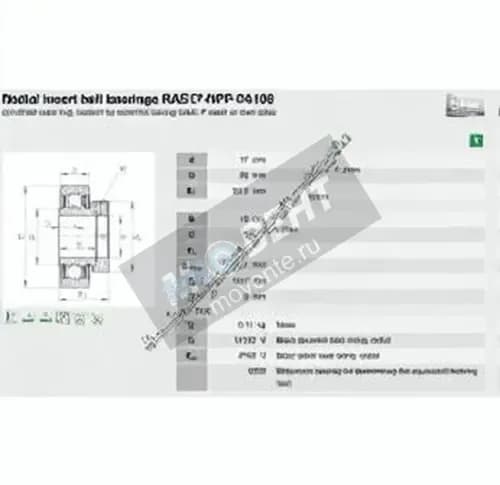 INA RAE17-NPP-FA106-INA - Image 1