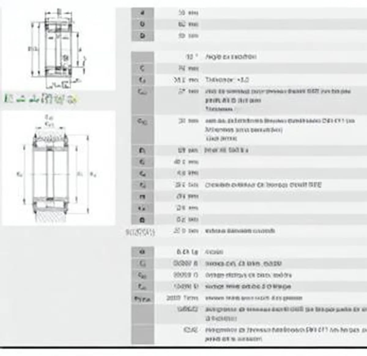INA SL045007-PP-INA - Image 1