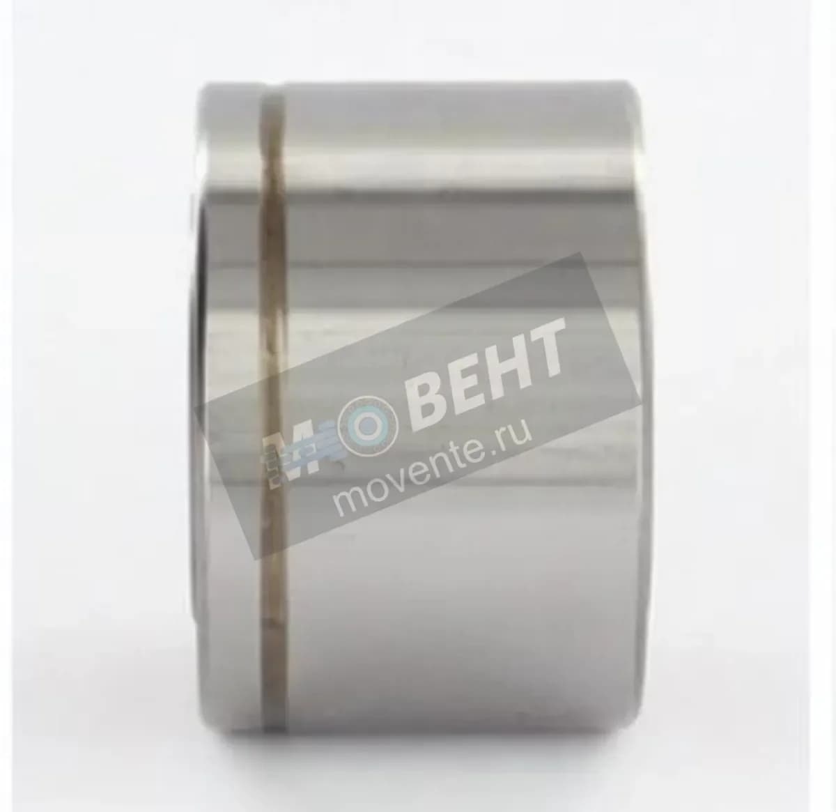 GEN 565592 - Image 1