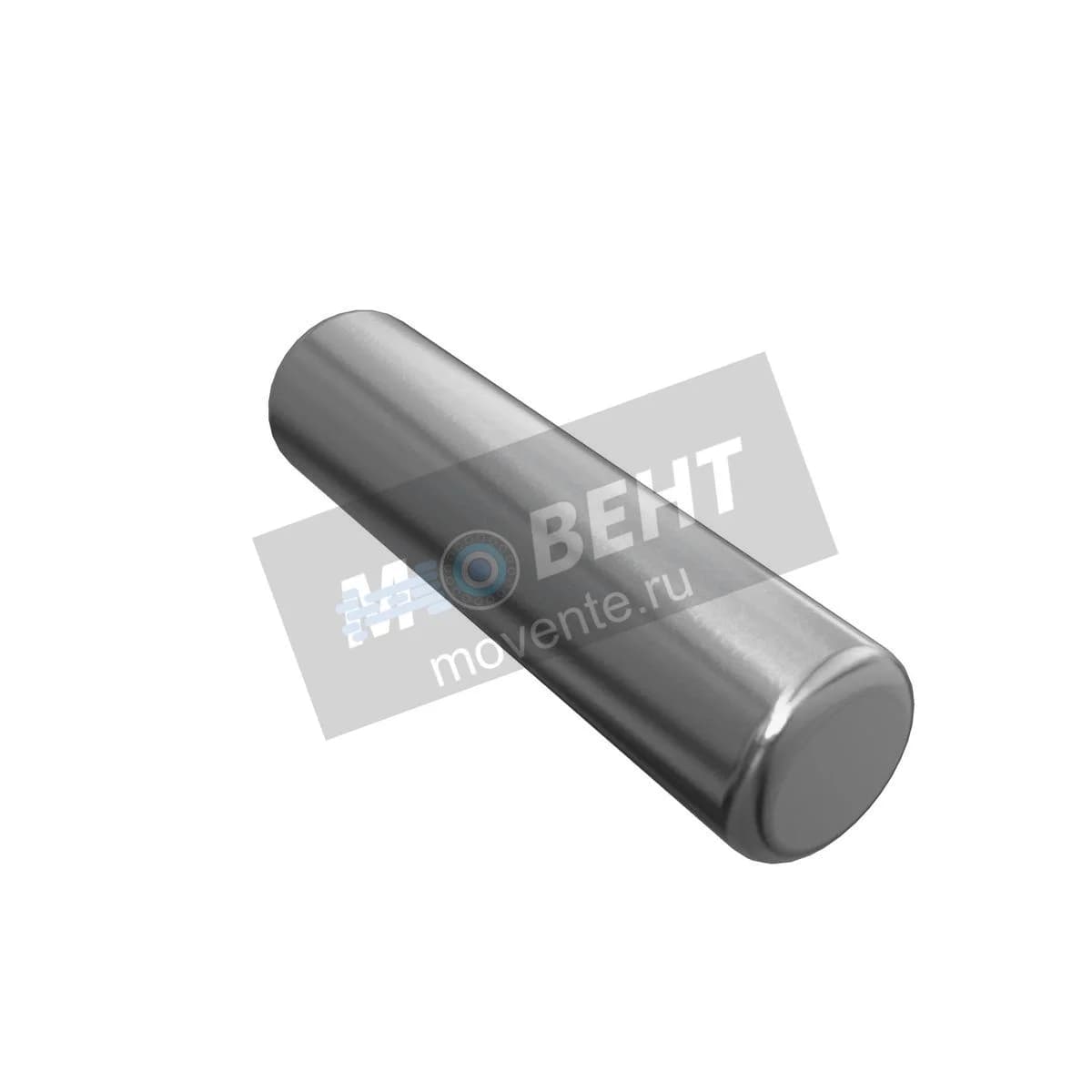 R109123: Игольчатый ролик