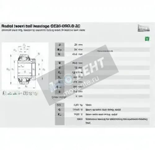 INA GE25-XL-KRR-B-2C-INA - Image 1