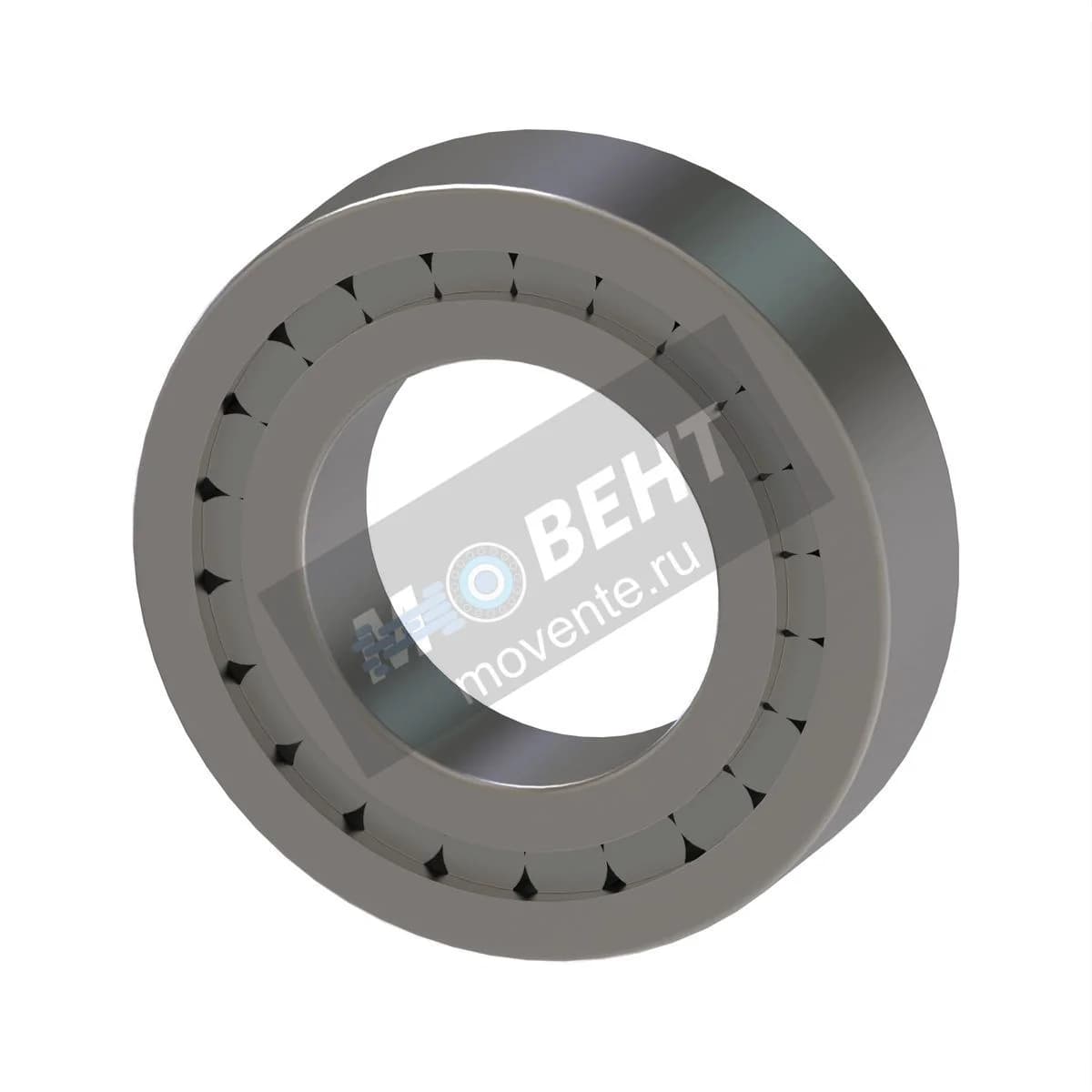 AL113714: Цилиндрический роликоподшипник