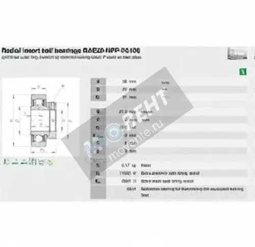 INA RAE20-NPP-FA106-INA - Image 1