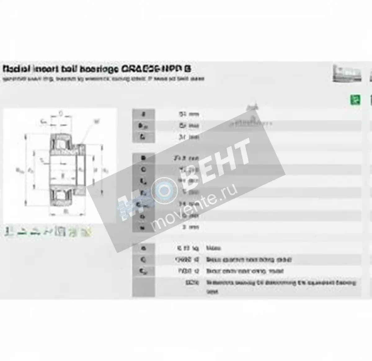 INA GRAE25-XL-NPP-B-INA - Image 1